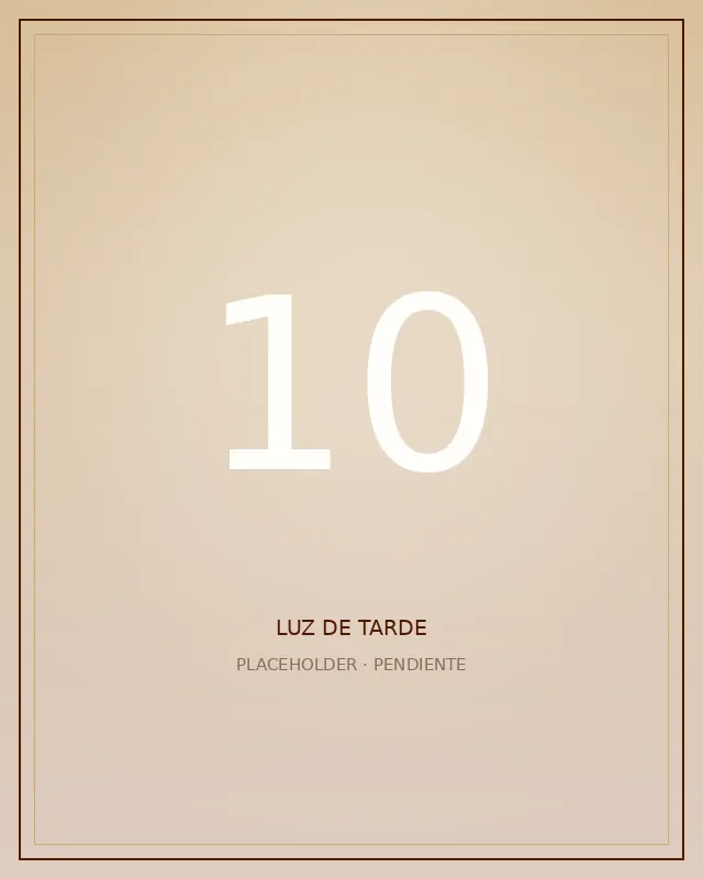 Elegante · 7 de 7